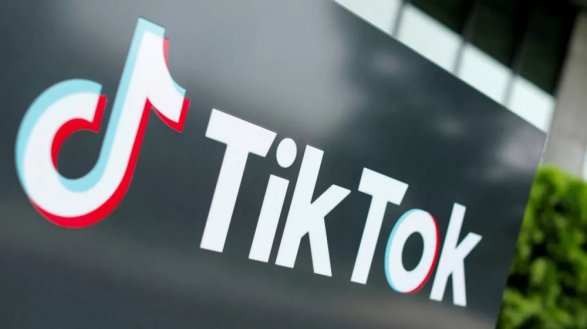 В Турции могут запретить TikTok
 