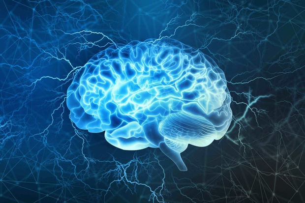 Ученые создали точнейшую карту участка мозга - ФОТО
 
