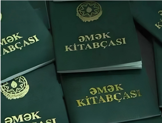 Кабмин утвердил форму трудовой книжки работников и правила ее заполнения
 