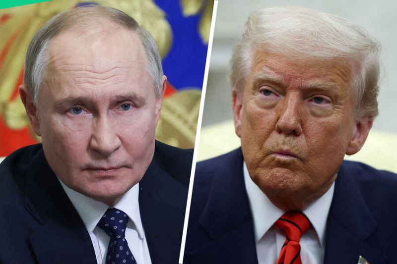 В Турции высказались об участии Путина и Трампа в переговорах в Стамбуле
 