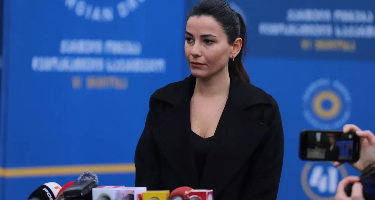 У Грузии новый глава Минэкономики
 