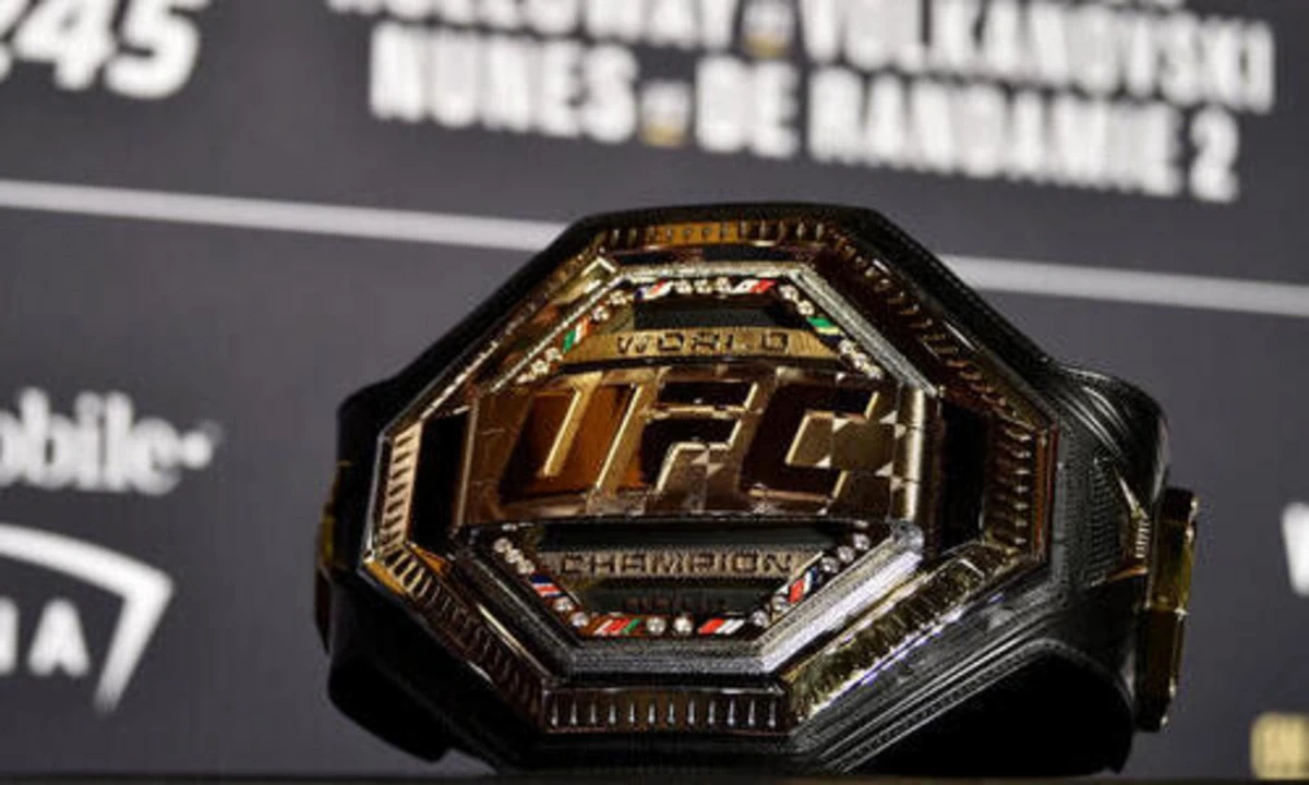 СМИ: В UFC подтвердили планы о проведении боя на территории Белого дома
 