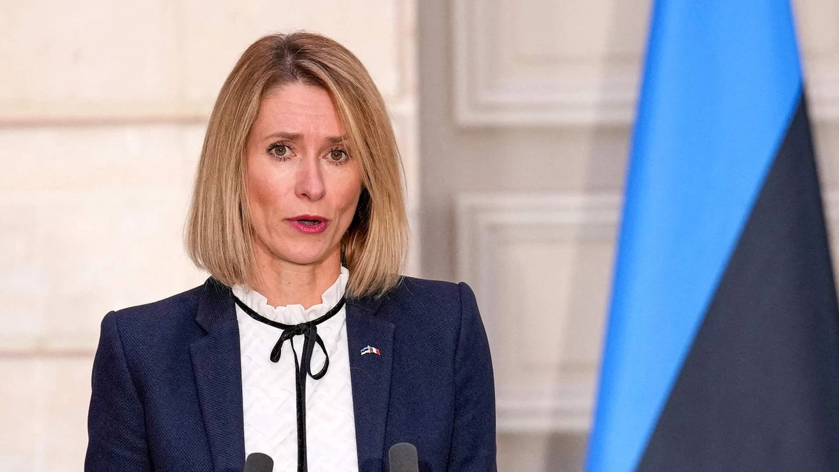 Каллас: 18-й пакет ЕС включает санкции на нефть и китайские банки, поддерживающие РФ
 