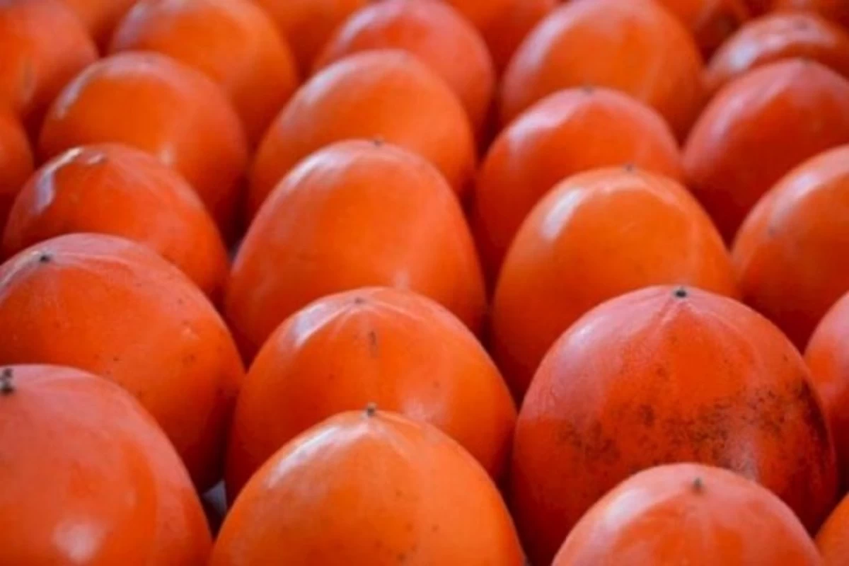 Экспорт хурмы из Азербайджана увеличился на 25%
 