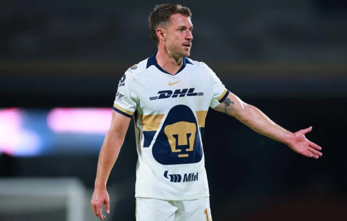 Футболист Рэмзи пообещал 20 000 долларов за информацию о его пропавшей собаке