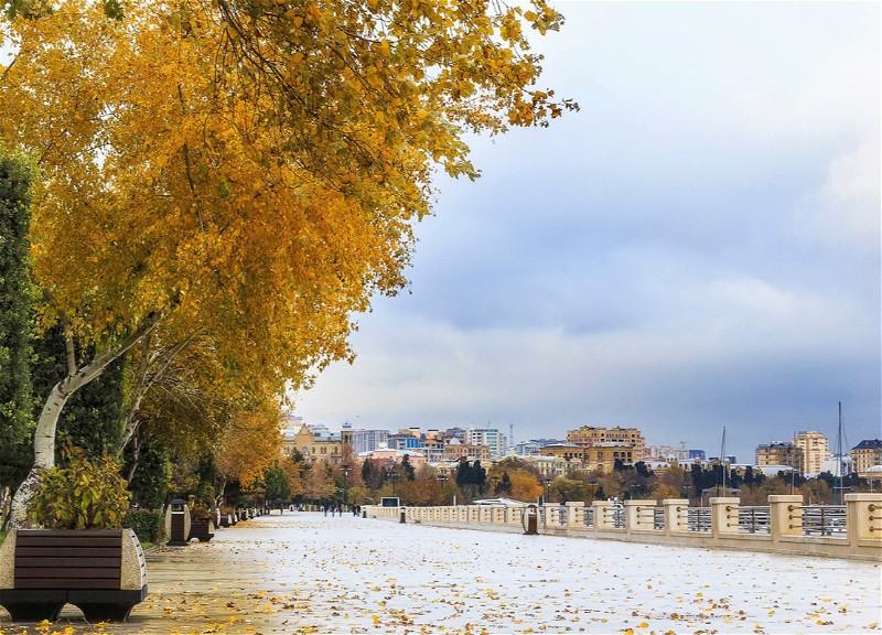 Прогноз погоды в Азербайджане на 20 ноября
 