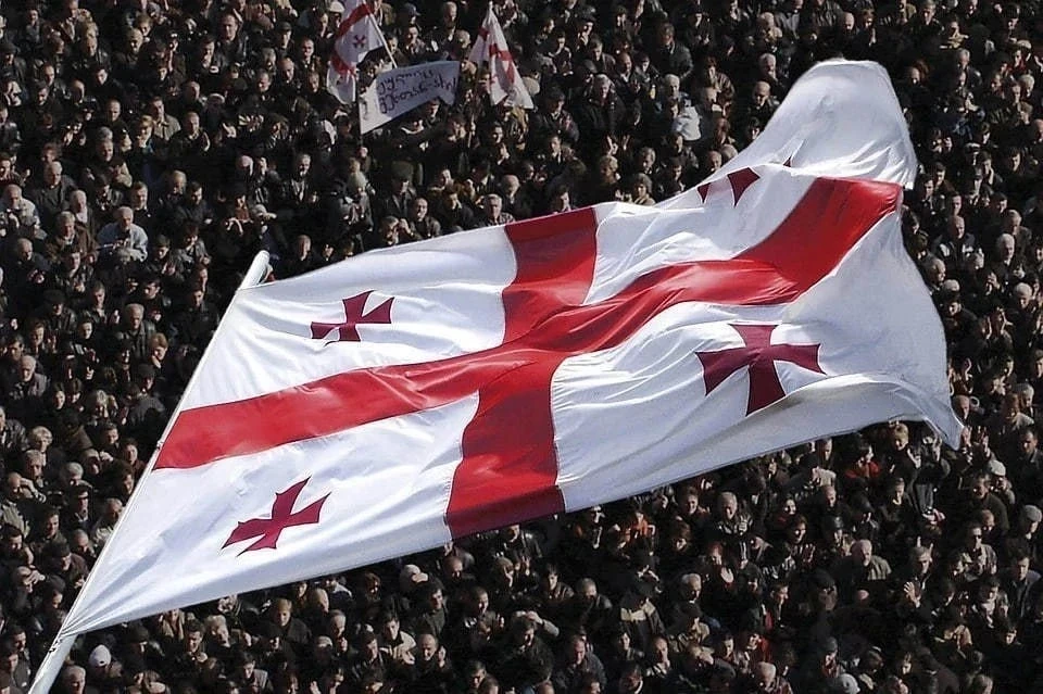 В Грузии поддержали введение запрета на голосование за границей для эмигрантов  
 