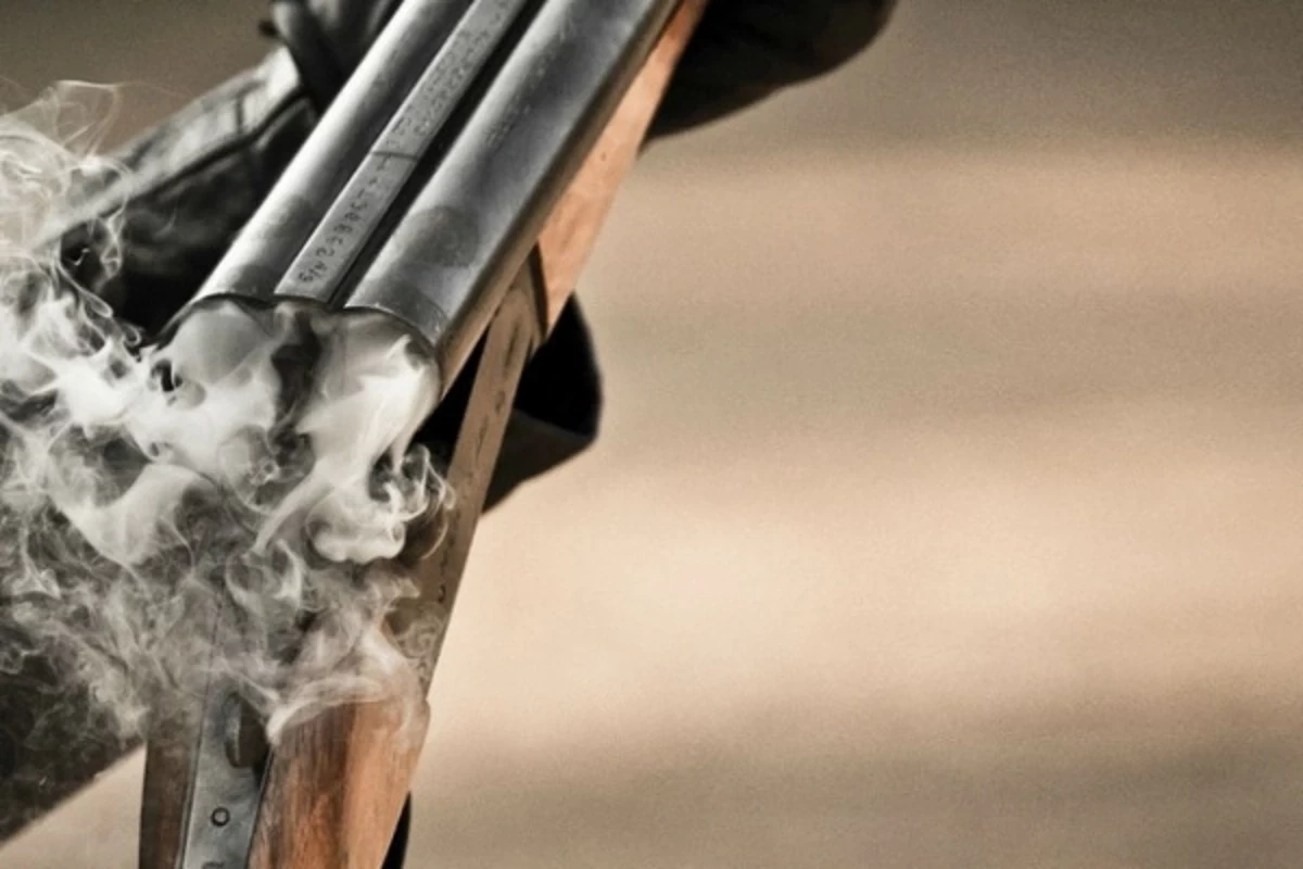 Житель Гаха случайно выстрелил в себя
 