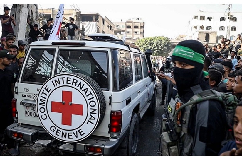 ХАМАС и МККК не смогли найти тело последнего израильского заложника
 