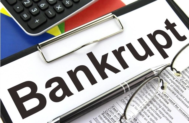 Ведущая экономика Европы приготовилась к валу банкротств
 