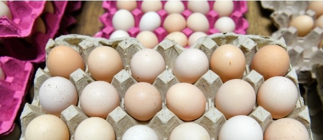 В Азербайджане выросли цены на яйца кур-бройлеров
 