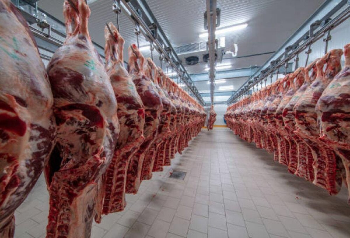 В Азербайджан импортировано мяса на 103 млн долларов
 