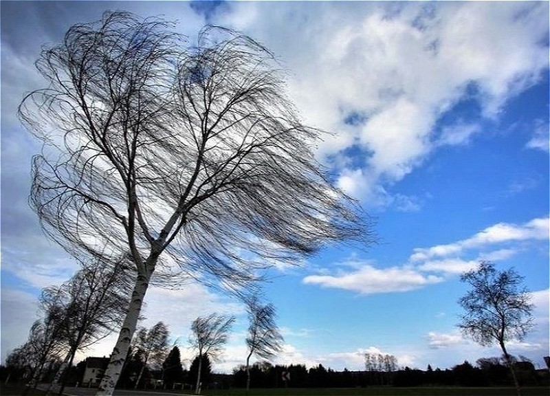 В Баку и регионах ожидаются сильные ветры
 